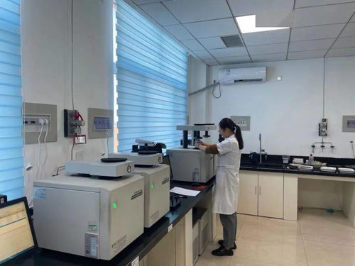 檢愛40年 河北公司基礎設施飛躍與計算機輔助設備修理新篇章