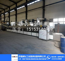 微波干燥膨化機 提升食品加工效率的先進機械設(shè)備